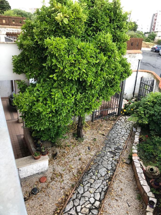 B&B San Liborio Civitavecchia Exteriör bild